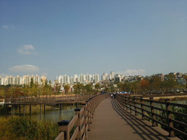釜山市民公園にある橋